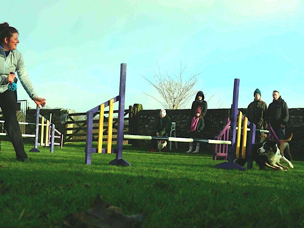 Picture 9