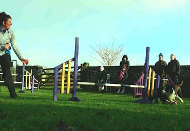 Picture 9